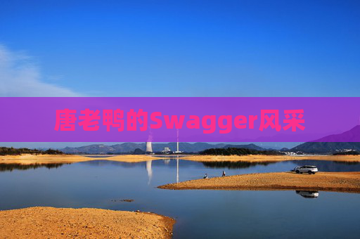 唐老鸭的Swagger风采