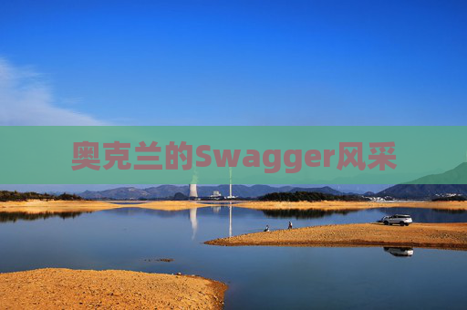 奥克兰的Swagger风采